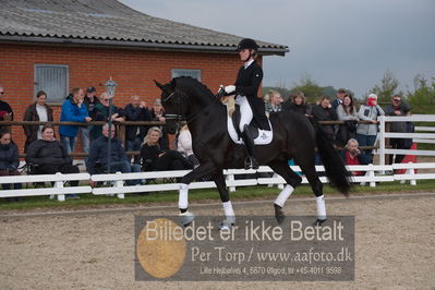 benthus 2019
Billeder fra åbenthus
Nøgleord: freestyle;mette riisager