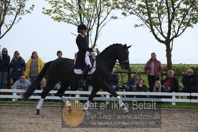 benthus 2019
Billeder fra åbenthus
Nøgleord: freestyle;mette riisager