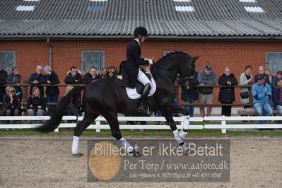 benthus 2019
Billeder fra åbenthus
Nøgleord: freestyle;mette riisager