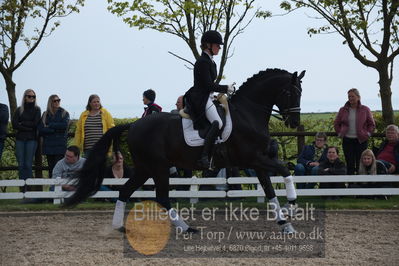 benthus 2019
Billeder fra åbenthus
Nøgleord: freestyle;mette riisager