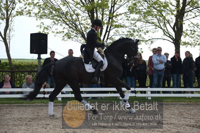 benthus 2019
Billeder fra åbenthus
Nøgleord: freestyle;mette riisager