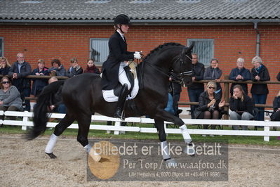 benthus 2019
Billeder fra åbenthus
Nøgleord: freestyle;mette riisager