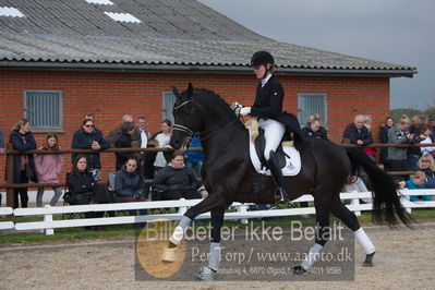 benthus 2019
Billeder fra åbenthus
Nøgleord: freestyle;mette riisager