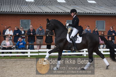 benthus 2019
Billeder fra åbenthus
Nøgleord: freestyle;mette riisager