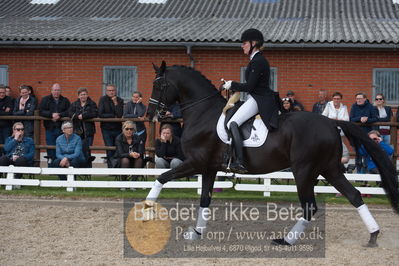 benthus 2019
Billeder fra åbenthus
Nøgleord: freestyle;mette riisager