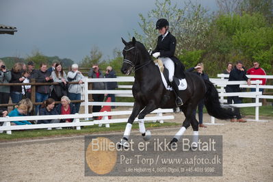 benthus 2019
Billeder fra åbenthus
Nøgleord: freestyle;mette riisager