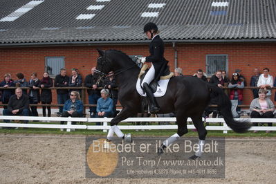 benthus 2019
Billeder fra åbenthus
Nøgleord: freestyle;mette riisager
