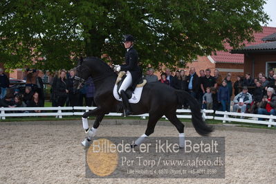 benthus 2019
Billeder fra åbenthus
Nøgleord: freestyle;mette riisager