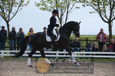 benthus 2019
Billeder fra åbenthus
Nøgleord: freestyle;mette riisager