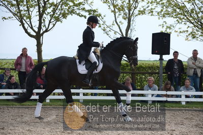 benthus 2019
Billeder fra åbenthus
Nøgleord: freestyle;mette riisager