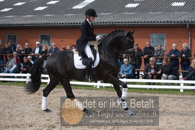 benthus 2019
Billeder fra åbenthus
Nøgleord: freestyle;mette riisager