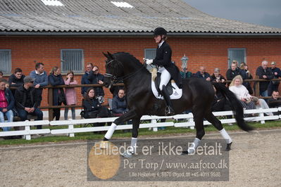 benthus 2019
Billeder fra åbenthus
Nøgleord: freestyle;mette riisager