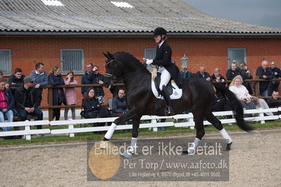 benthus 2019
Billeder fra åbenthus
Nøgleord: freestyle;mette riisager