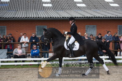 benthus 2019
Billeder fra åbenthus
Nøgleord: freestyle;mette riisager