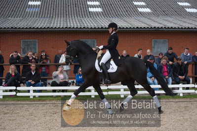 benthus 2019
Billeder fra åbenthus
Nøgleord: freestyle;mette riisager