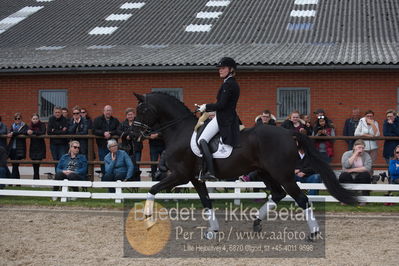 benthus 2019
Billeder fra åbenthus
Nøgleord: freestyle;mette riisager