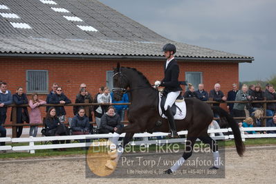 benthus 2019
Billeder fra åbenthus
