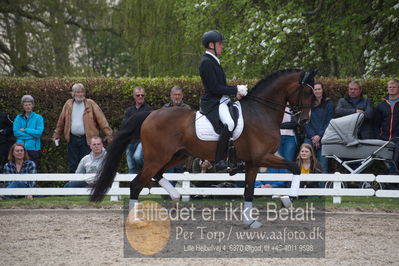 benthus 2019
Billeder fra åbenthus
Nøgleord: donkey boy;jan møller christensen