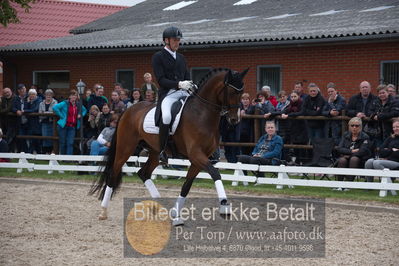 benthus 2019
Billeder fra åbenthus
Nøgleord: donkey boy;jan møller christensen