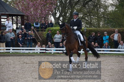 benthus 2019
Billeder fra åbenthus
Nøgleord: donkey boy;jan møller christensen