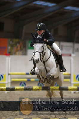 B - Stævne spring
Ponylandsstæne
Nøgleord: mads-emil sandgaard mørrup;badger hill sue ellen