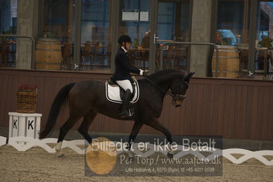 Blue Hors Dressur Festival 2018
Billeder fra stævnet
Nøgleord: sofie besser wissmann;fight hour