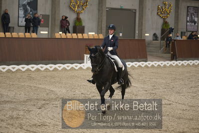 Blue Hors Dressur Festival 2018
Billeder fra stævnet
Nøgleord: camilla sørensen olsen;dørr's nevil