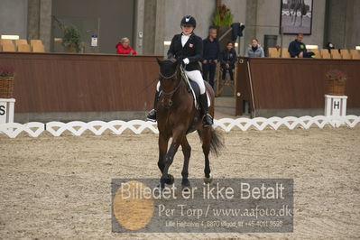 Blue Hors Dressur Festival 2018
Billeder fra stævnet
Nøgleord: camilla d f christensen;obreja's sly