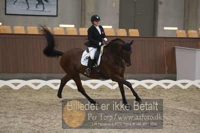 Blue Hors Dressur Festival 2018
Billeder fra stævnet
Nøgleord: camilla d f christensen;obreja's sly