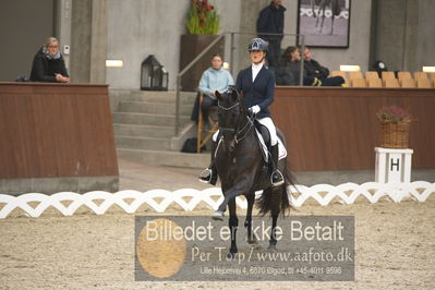 Blue Hors Dressur Festival 2018
Billeder fra stævnet
Nøgleord: emilie holm toft;sarkozy