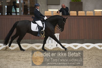 Blue Hors Dressur Festival 2018
Billeder fra stævnet
Nøgleord: mie knudsen;helenic l