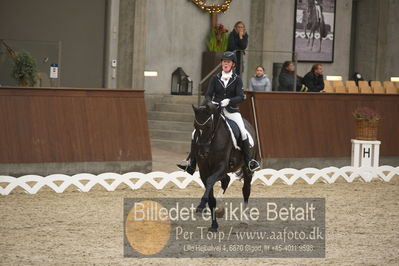 Blue Hors Dressur Festival 2018
Billeder fra stævnet
Nøgleord: malene petersen;mr royal hit