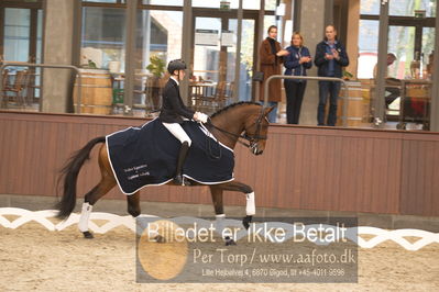 Blue Hors Dressur Festival 2018
Billeder fra stævnet
Nøgleord: anders uve sjøbeck hoeck;zwobber;lap of honour