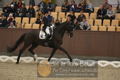 Blue Hors Dressur Festival 2018
Billeder fra stævnet
Nøgleord: antonia christine jacobsen;danny 229