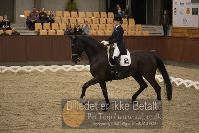 Blue Hors Dressur Festival 2018
Billeder fra stævnet
Nøgleord: antonia christine jacobsen;danny 229