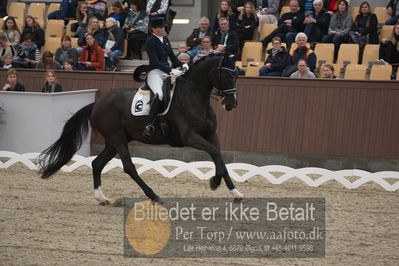 Blue Hors Dressur Festival 2018
Billeder fra stævnet
Nøgleord: antonia christine jacobsen;danny 229