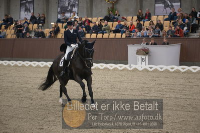 Blue Hors Dressur Festival 2018
Billeder fra stævnet
Nøgleord: antonia christine jacobsen;danny 229