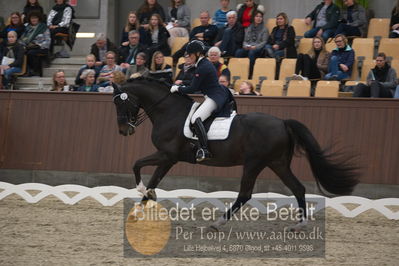 Blue Hors Dressur Festival 2018
Billeder fra stævnet
Nøgleord: louise almlund løkken;mr gold g