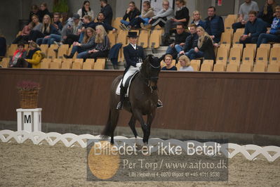 Blue Hors Dressur Festival 2018
Billeder fra stævnet
Nøgleord: mikaela fabricius-bjerre;bellisimo l