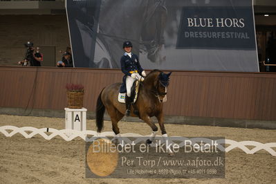 Blue Hors Dressur Festival 2018
Billeder fra stævnet
Nøgleord: isac;minna telde;lap of honour