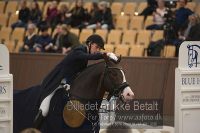 Blue Hors Dressur Festival 2018
Billeder fra stævnet
Nøgleord: blue hors don olymbrio;daniel bachmann andersen;lap of honour