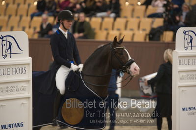 Blue Hors Dressur Festival 2018
Billeder fra stævnet
Nøgleord: blue hors don olymbrio;daniel bachmann andersen;lap of honour