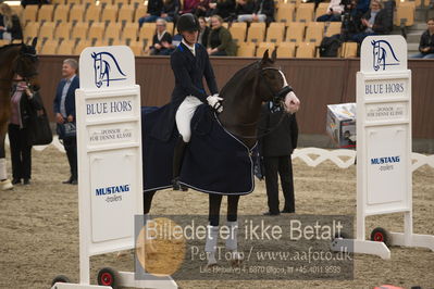 Blue Hors Dressur Festival 2018
Billeder fra stævnet
Nøgleord: blue hors don olymbrio;daniel bachmann andersen;lap of honour