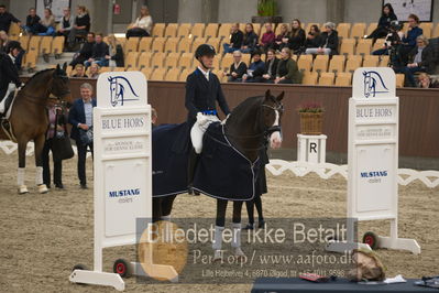 Blue Hors Dressur Festival 2018
Billeder fra stævnet
Nøgleord: blue hors don olymbrio;daniel bachmann andersen;lap of honour