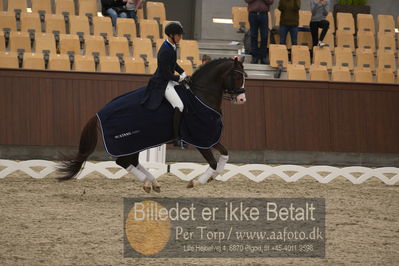 Blue Hors Dressur Festival 2018
Billeder fra stævnet
Nøgleord: blue hors don olymbrio;daniel bachmann andersen;lap of honour