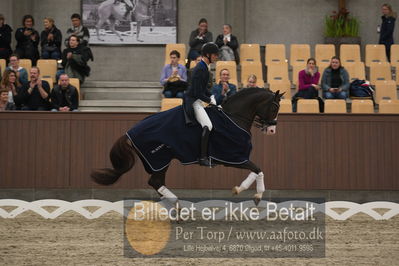 Blue Hors Dressur Festival 2018
Billeder fra stævnet
Nøgleord: blue hors don olymbrio;daniel bachmann andersen;lap of honour