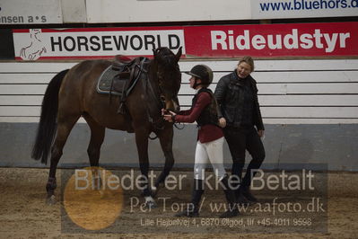 Vejle Rideklub
Sprngstævne for hest
Nøgleord: filippa sand ibsen;velerne ask