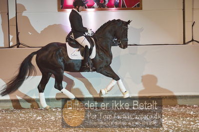 bent hus 2019, 10års jubilæum
billeder fra hingsteshowet
Nøgleord: Devenport