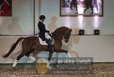 bent hus 2019, 10års jubilæum
billeder fra hingsteshowet
Nøgleord: eye catcher 6