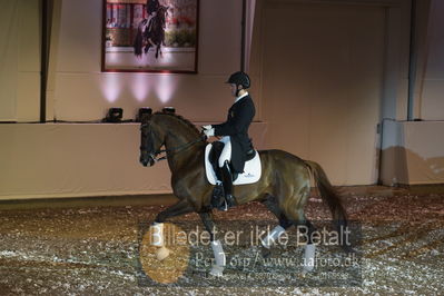 bent hus 2019, 10års jubilæum
billeder fra hingsteshowet
Nøgleord: eye catcher 6